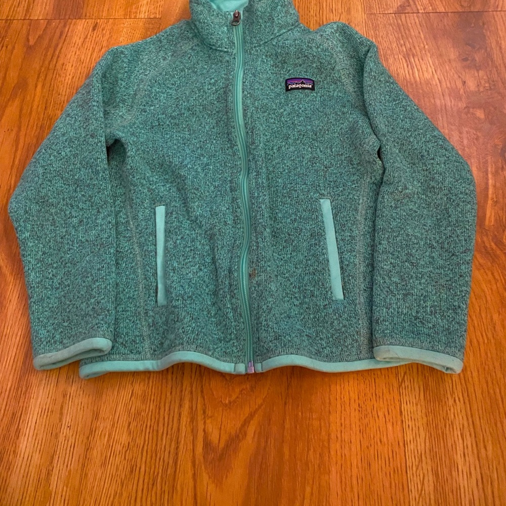 This is a small kids Patagonia blue fleece jacket.